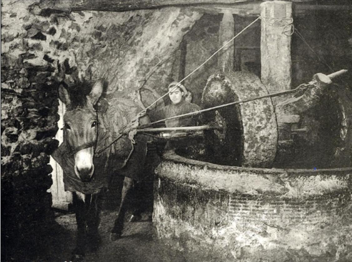Olive Oil Mill Διαμέρισμα Κοκκάλα Εξωτερικό φωτογραφία
